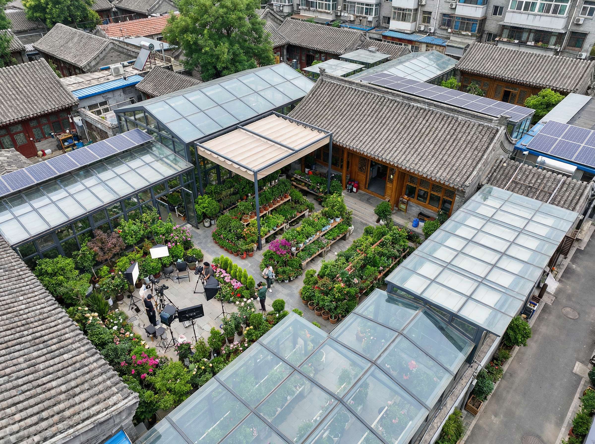 香蕉视频植物视频演示